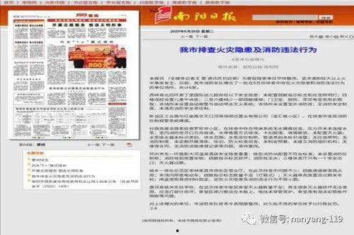南阳打人媒体爆料最新,媒体最新爆料揭示惊人真相